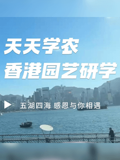 与香港园艺学会联合举办香港园艺研学，专业园境师带队讲解。