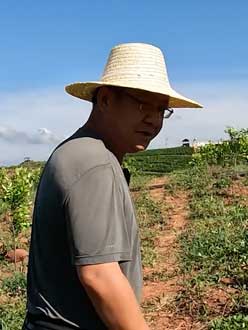 农业人叶涛，50多岁通讯人跨界搞农业，他要用1000万打造一个梦。